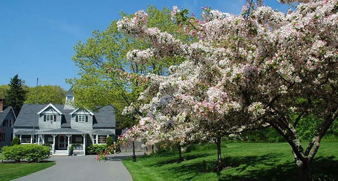 Cape Arundel Inn - Club House Kennebunkport Exteriör bild